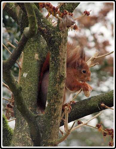 21: Almelo_130316_1220A<br>16-03-2013