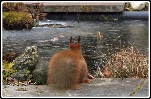 22: Almelo_130316_1221-SharpenAI-motion<br>16-03-2013