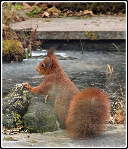 23: Almelo_130316_1221A-SharpenAI-motion<br>16-03-2013