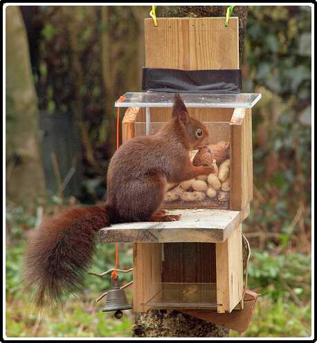 25: Almelo_130319_0927<br>19-03-2013