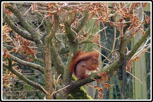 26: Almelo_130319_1020<br>19-03-2013