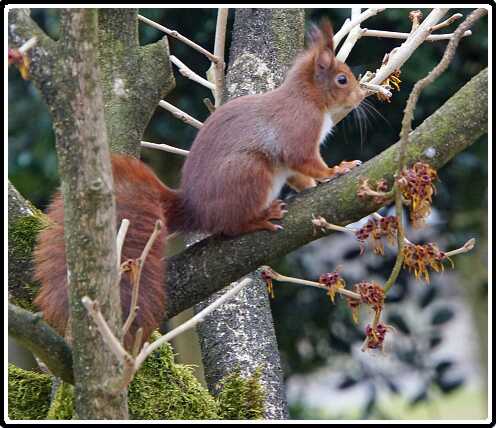 27: Almelo_130321_1201A<br>21-03-2013