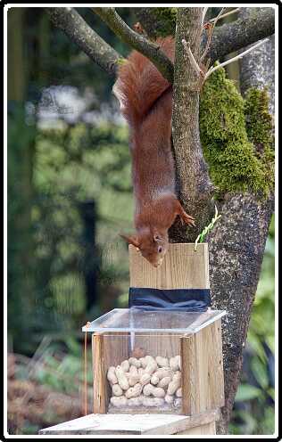 28: Almelo_130321_1201B-SharpenAI-focus<br>21-03-2013