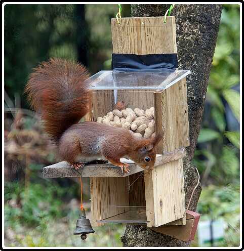 29: Almelo_130321_1201C-SharpenAI-focus<br>21-03-2013