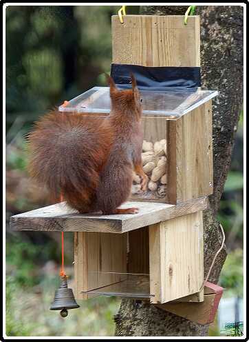 30: Almelo_130321_1201D-SharpenAI-focus<br>21-03-2013