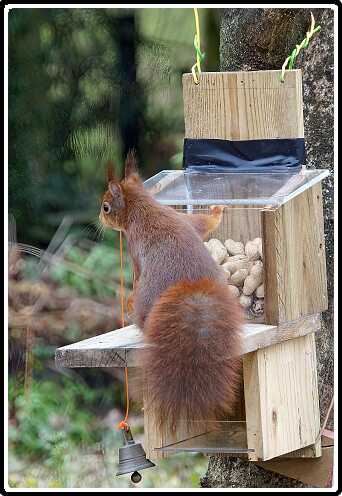 31: Almelo_130321_1201E-SharpenAI-focus<br>21-03-2013