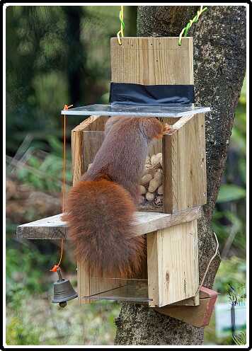 32: Almelo_130321_1201F-SharpenAI-focus<br>21-03-2013