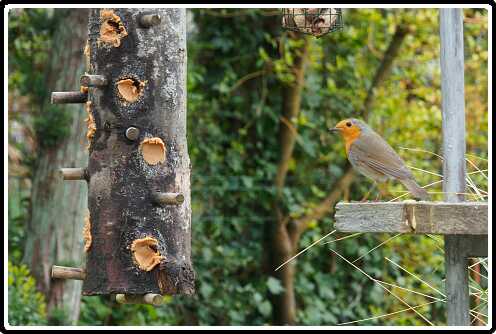 11: 190414-154643_Voederpaal<br>14-04-2019