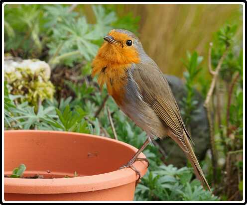 12: 190414-155522_Voederpaal<br>14-04-2019