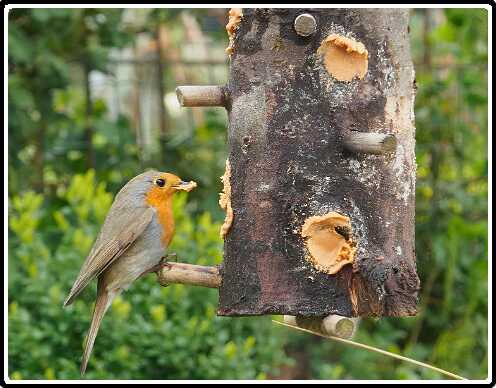 13: 190414-160017_Voederpaal-SharpenAI-motion<br>14-04-2019