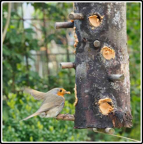 15: 190414-160546_Voederpaal-SharpenAI-motion<br>14-04-2019