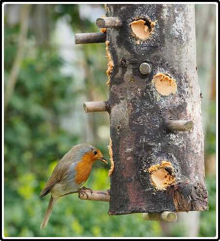 16: 190414-162350_Voederpaal<br>14-04-2019