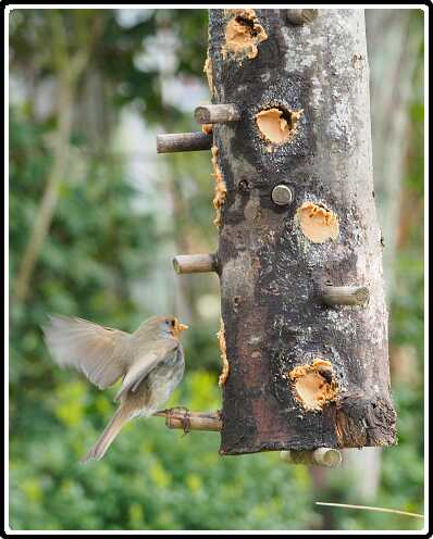 18: 190414-162355_Voederpaal<br>14-04-2019