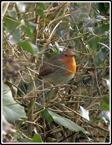 21: Almelo_130314_1419-SharpenAI-focus<br>14-03-2013