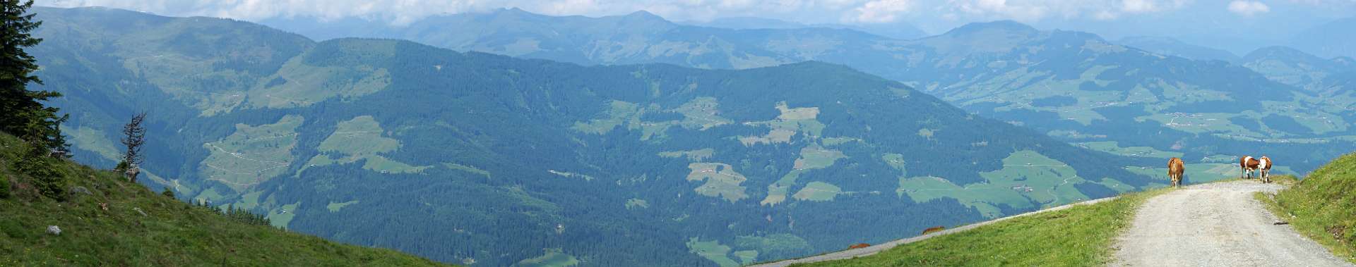 Klik om de knoppen te tonen of te verbergen