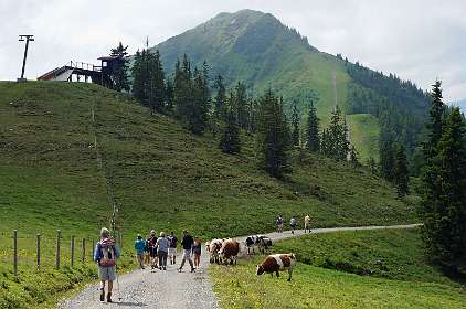 Achterin de Laubkogel