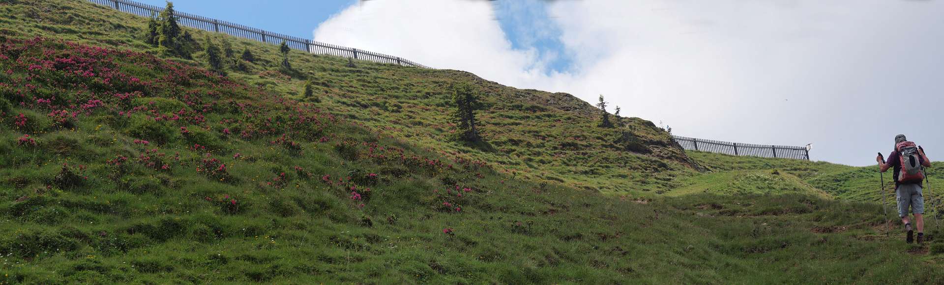 Klik om de knoppen te tonen of te verbergen