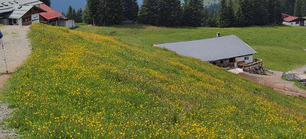 Langs berghaus Hochbrunn