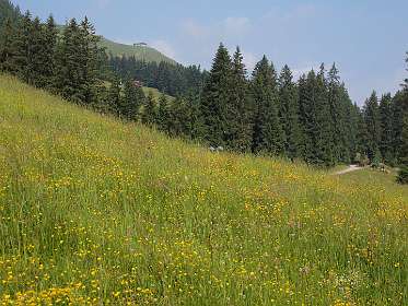 Bovenin Gasthaus Keatalm waar we eerder waren