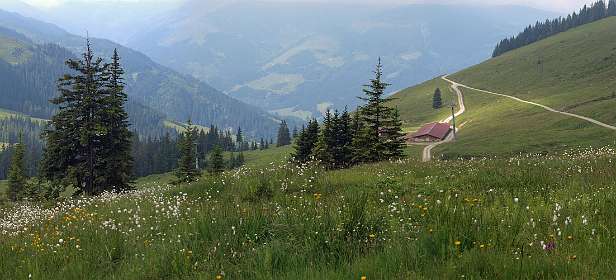 Uitzicht op de Fleiding alm