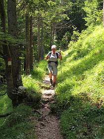 De wandeling heeft op het einde een lange steile afdaling in een bos