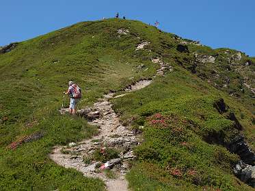 We zijn bijna op de top