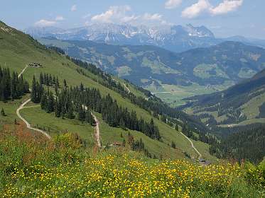 In de achtergrond het Wilde Kaiser gebergte
