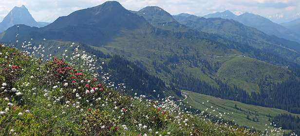 Links van het midden de Brechhorn waar we gisteren op waren