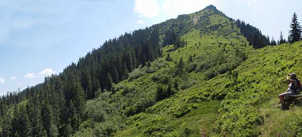 De Gampenkogel vanaf het pad onderlangs