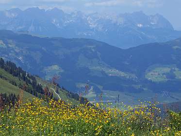 In de achtergrond de Wilde Kaiser