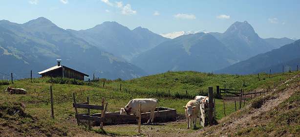 Bärstättalm met rechts de Groszer Rettenstein