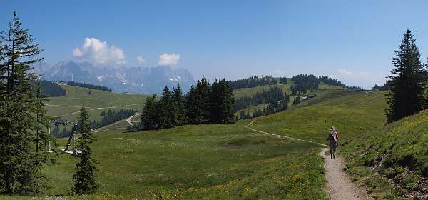 Achterin links de Wilkde Kaiser