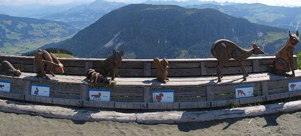 Men doet er hier alles aan om de kinderen bezig te houden!