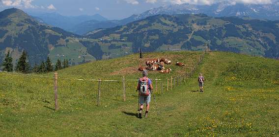 Afdaling naar Santenbach Hochalm