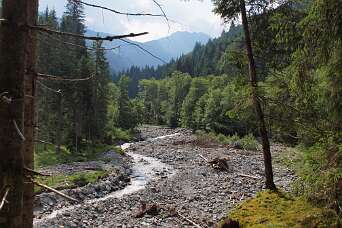 Over de Hirzegg alm bij Aschau