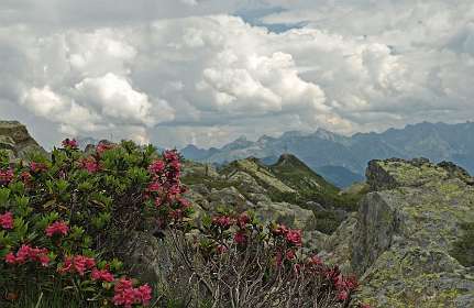 Terugblik op Golmer Joch