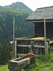 Lifinar alm