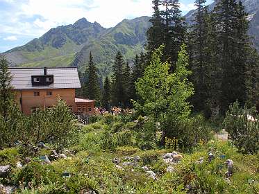 De botanische tuin bij de Lindauer Hütte