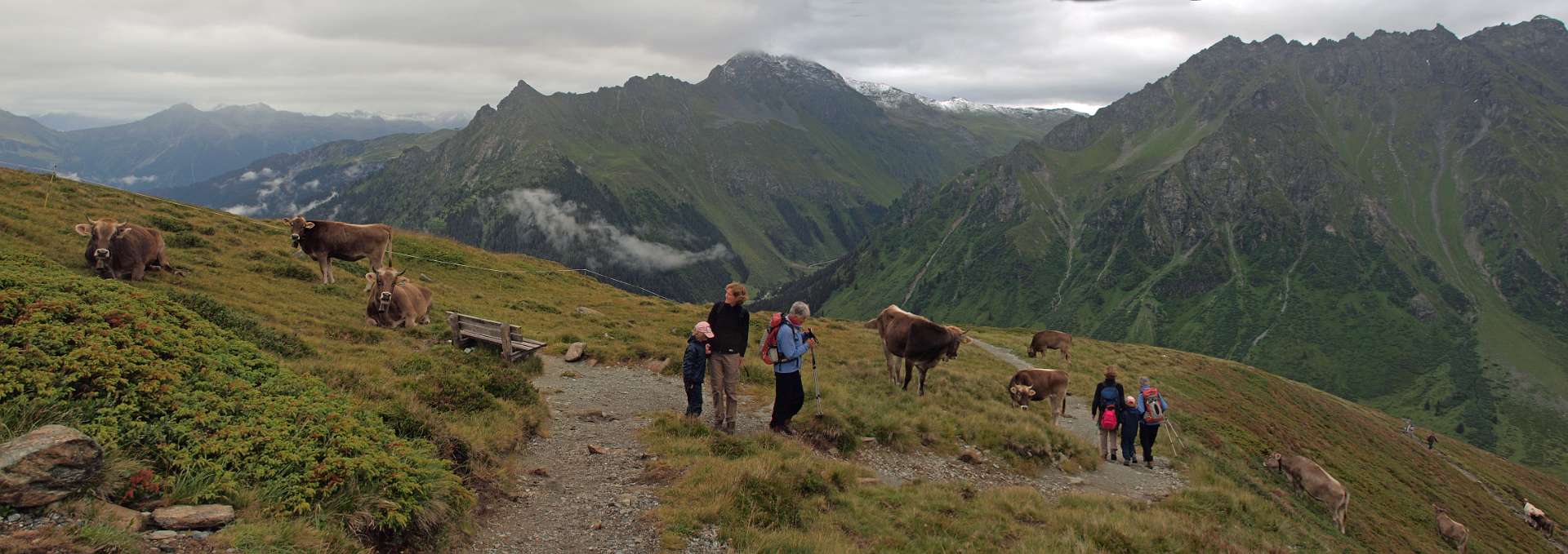 Klik om de knoppen te tonen of te verbergen