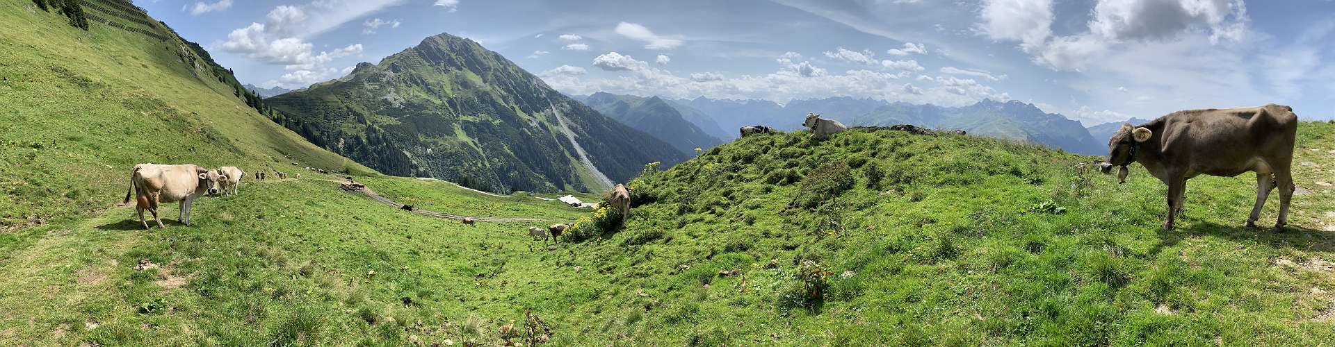 Klik om de knoppen te tonen of te verbergen