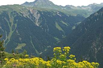 Nova Stoba - Ganeu - Gaschurn