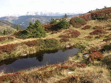 Pinzgauer Spaziergang