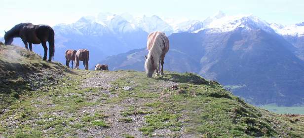 Boven de Sonnbergalm langs de Pinzgauer Spaziergang