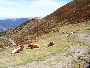 Haslingalm vanaf de Rohrertörl