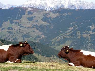 Uitzicht naar het noorden vanaf Rohrertörl