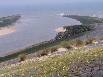 Cadzand