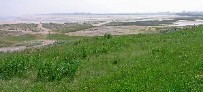 Panorama van de Zwarte Polder