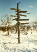 2_28A.jpg (99840 bytes)