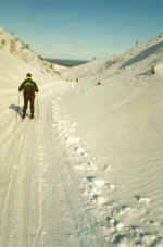 2_2A.jpg (80582 bytes)