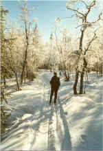 2_4A.jpg (152423 bytes)